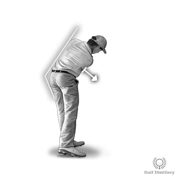release spine angle