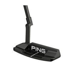 put ping 2023 anser 2d 2 26553 1