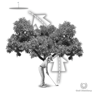 draw punch under tree