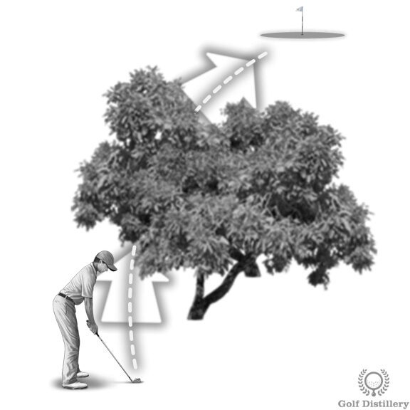 fade punch under tree