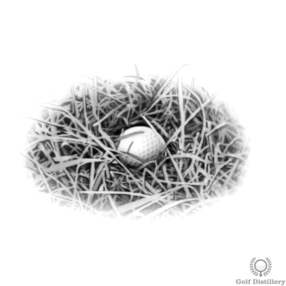 Cách Đánh từ Khu Rừng Dày 1 rough 1