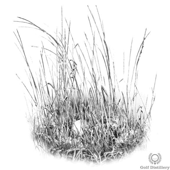 Cách đánh từ cỏ cao (cỏ fescue) 1 tall grass