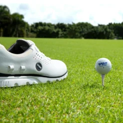 p 000 10 73418b92 c7b1 40e1 925e 0d5b3b056165